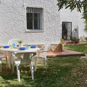 Geranios - La Cala De Mijas
